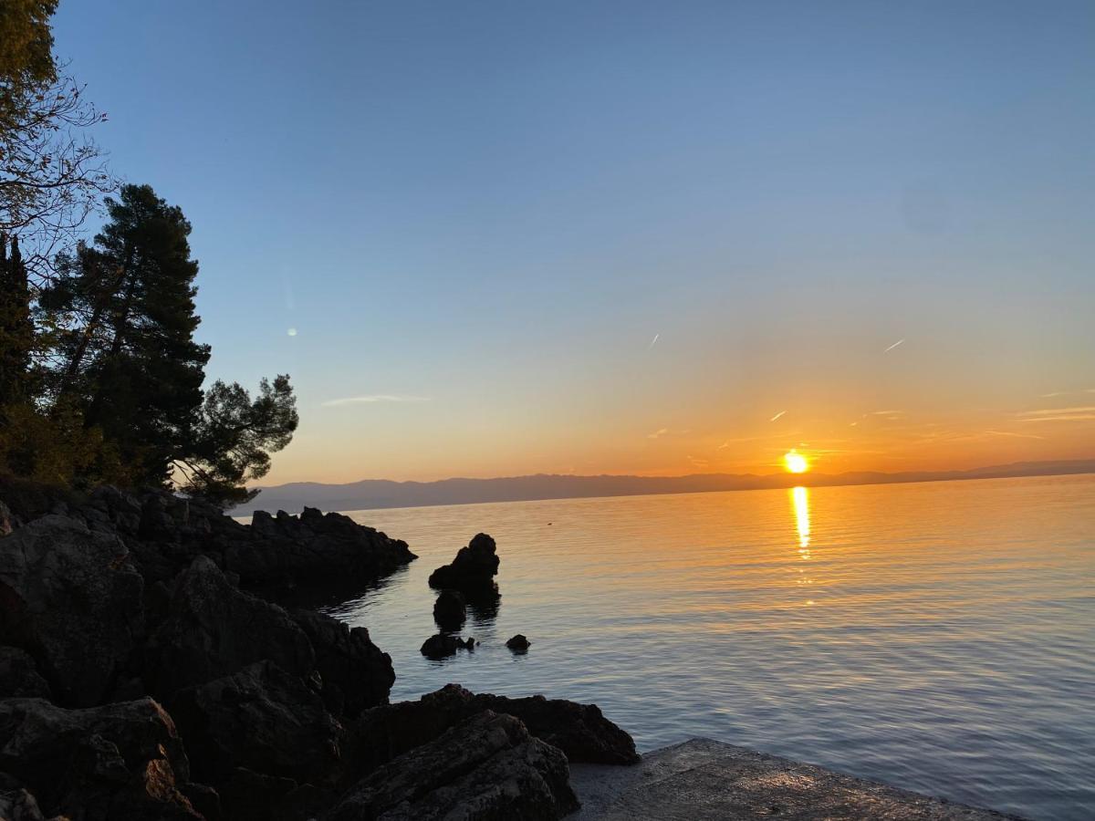 Villa Lovran - 150M To The Beach - Infinity Pool - Incredible Sea View - Fitness Room Eksteriør billede